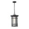 Z-Lite Jordan 1 Light Outdoor Chain Mount Ceiling Fixture, Oil Rubbed Bronze And Clear Seedy 570CHB-ORB - alternate 1